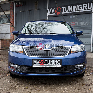 Зимний экран (верхний) Skoda Rapid (2012-2020), текстурный пластик