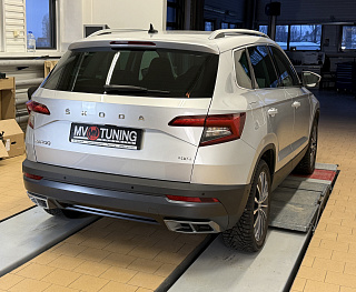 SILVER. Имитация насадок глушителя(выхлопа) крашенные для Skoda Karoq 2017 - 2021